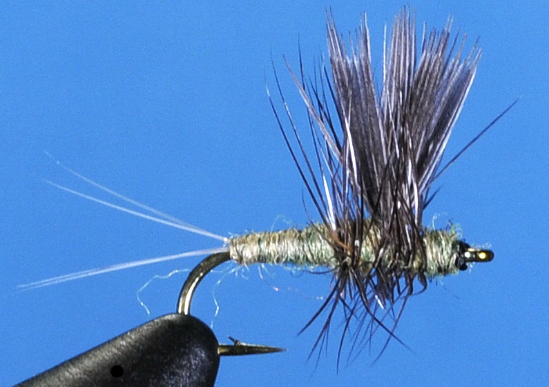 J21-02WSDN product image
