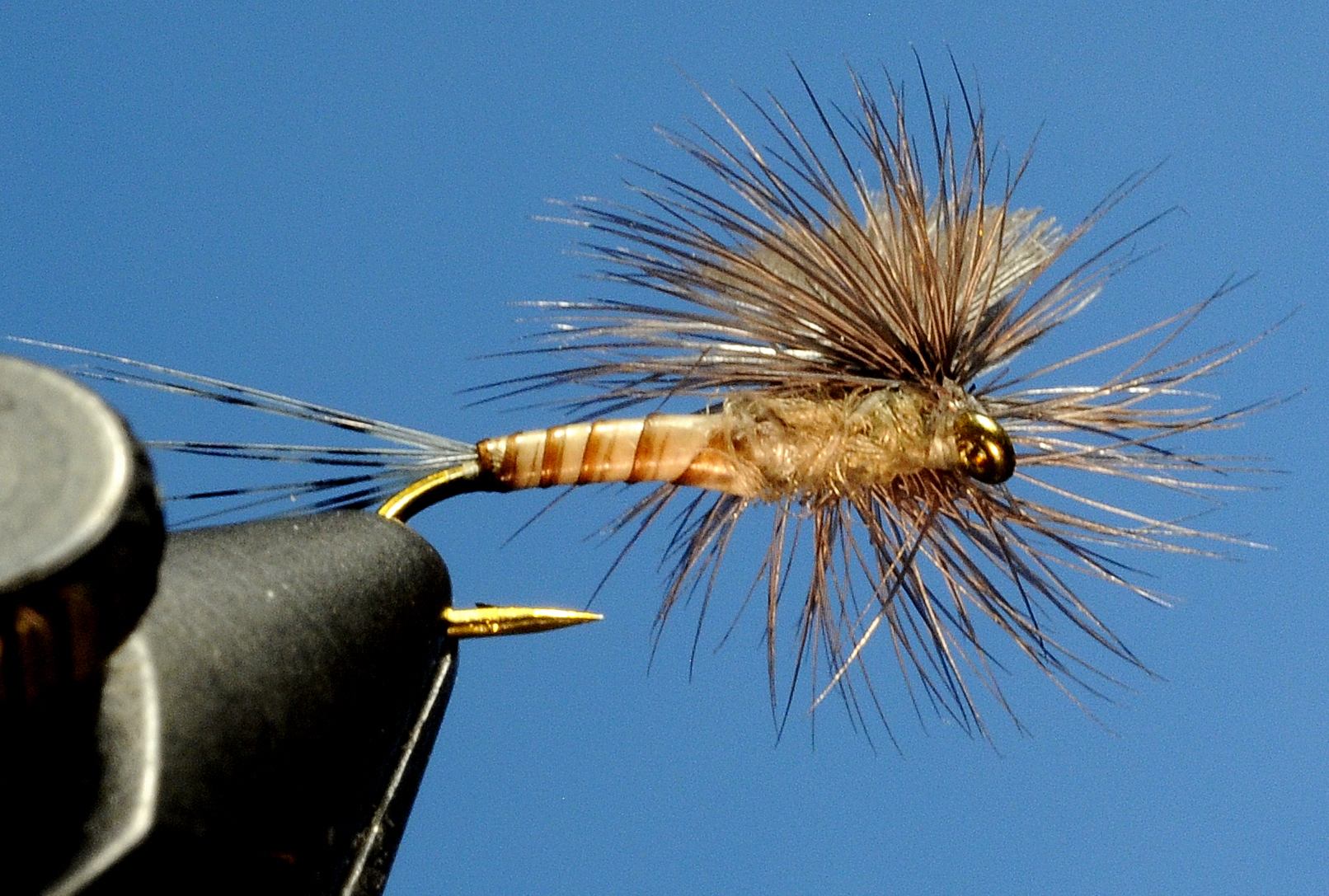 J21-05BCCL product image