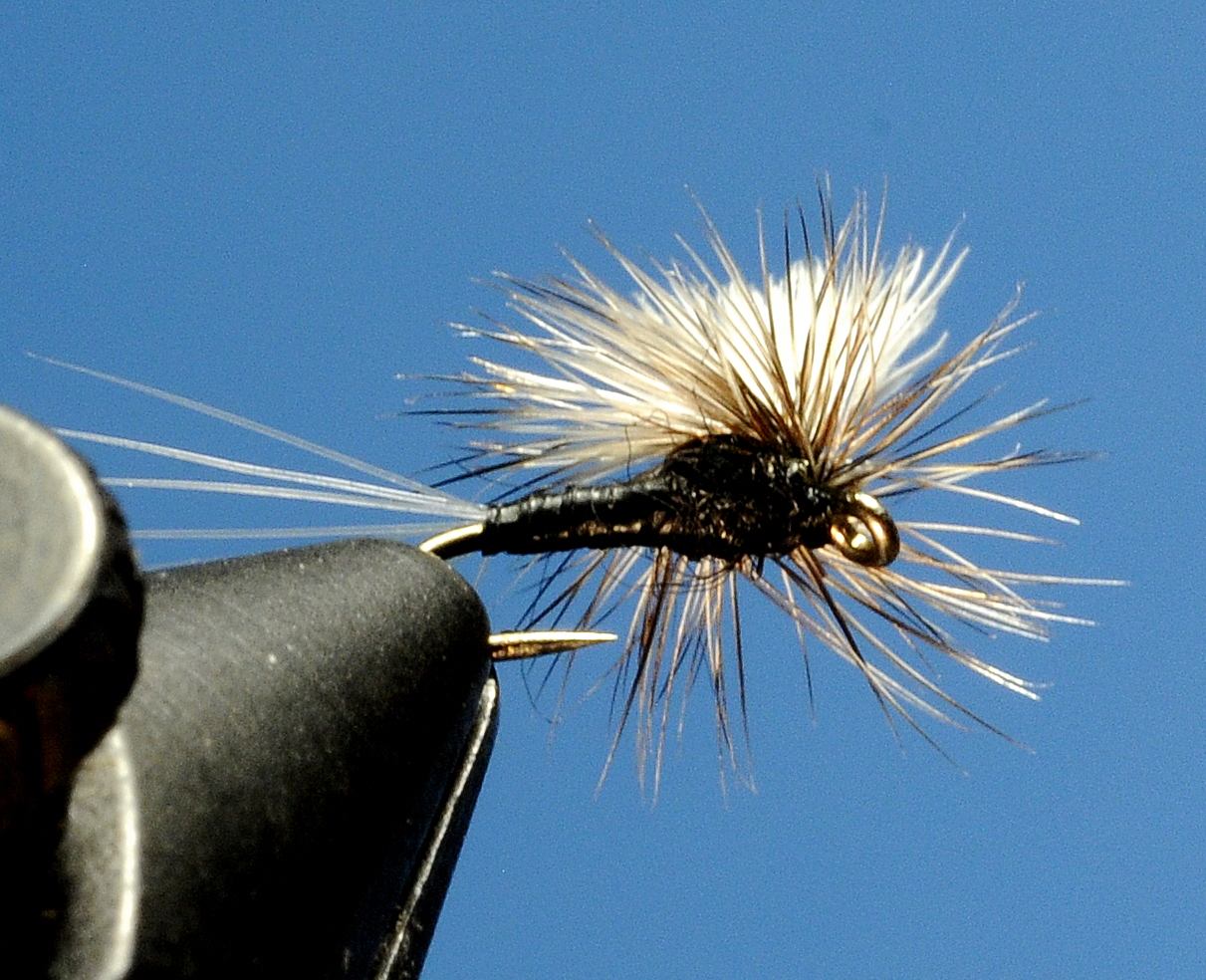 J21-05BCTC product image