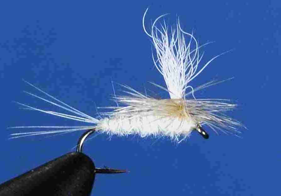 J21-05CHLT product image