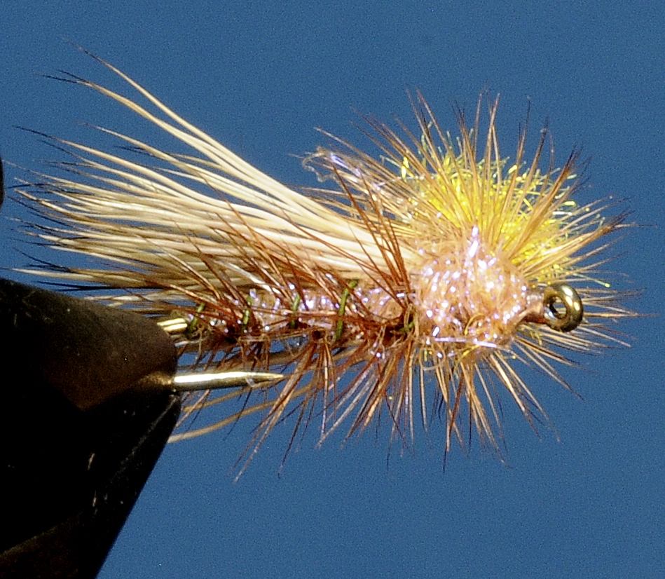 J21-05DLTN product image