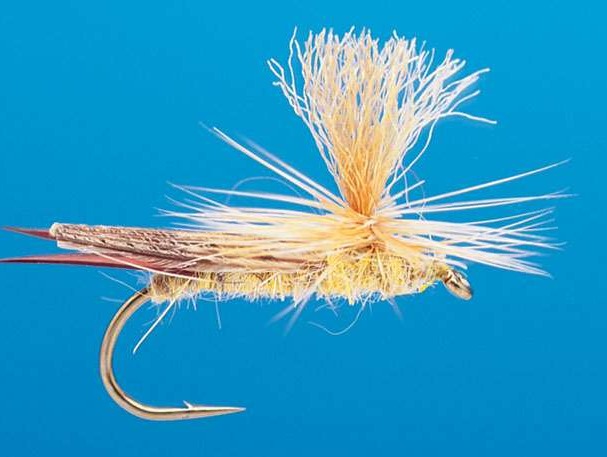 J21-05GLDN product image