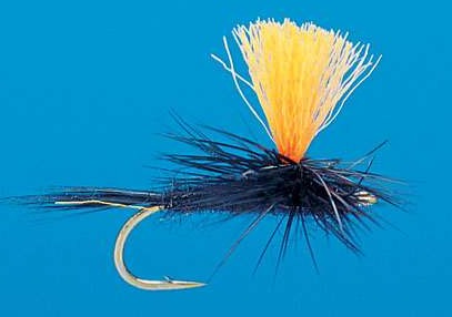 J21-05HBKG product image