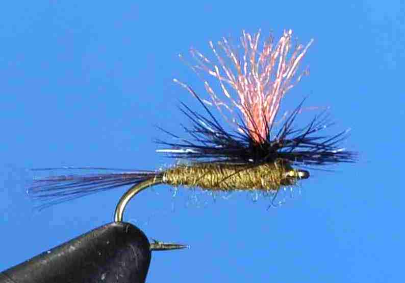 J21-05HBWO product image