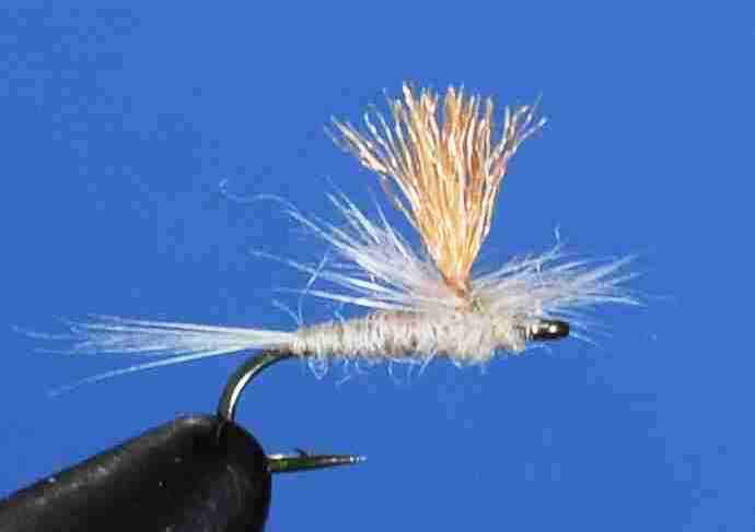 J21-05HCHL product image