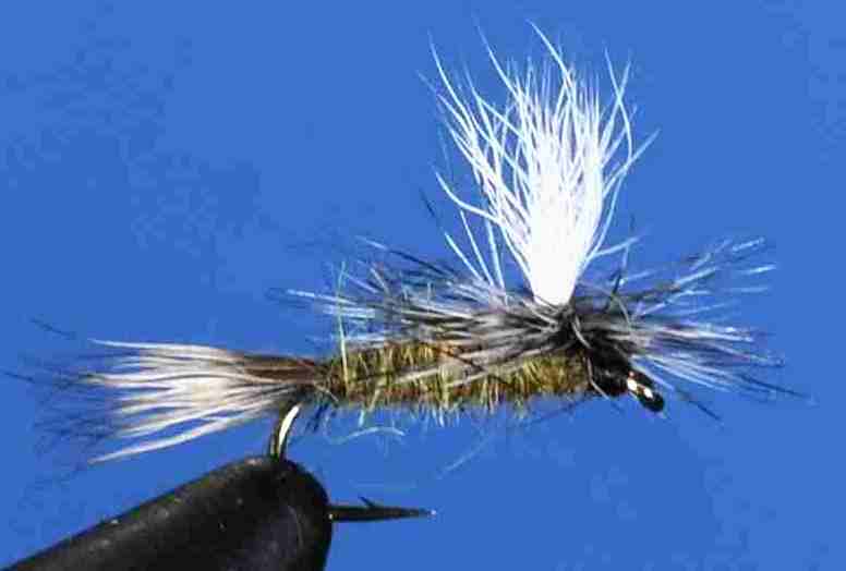 J21-05HEOL product image