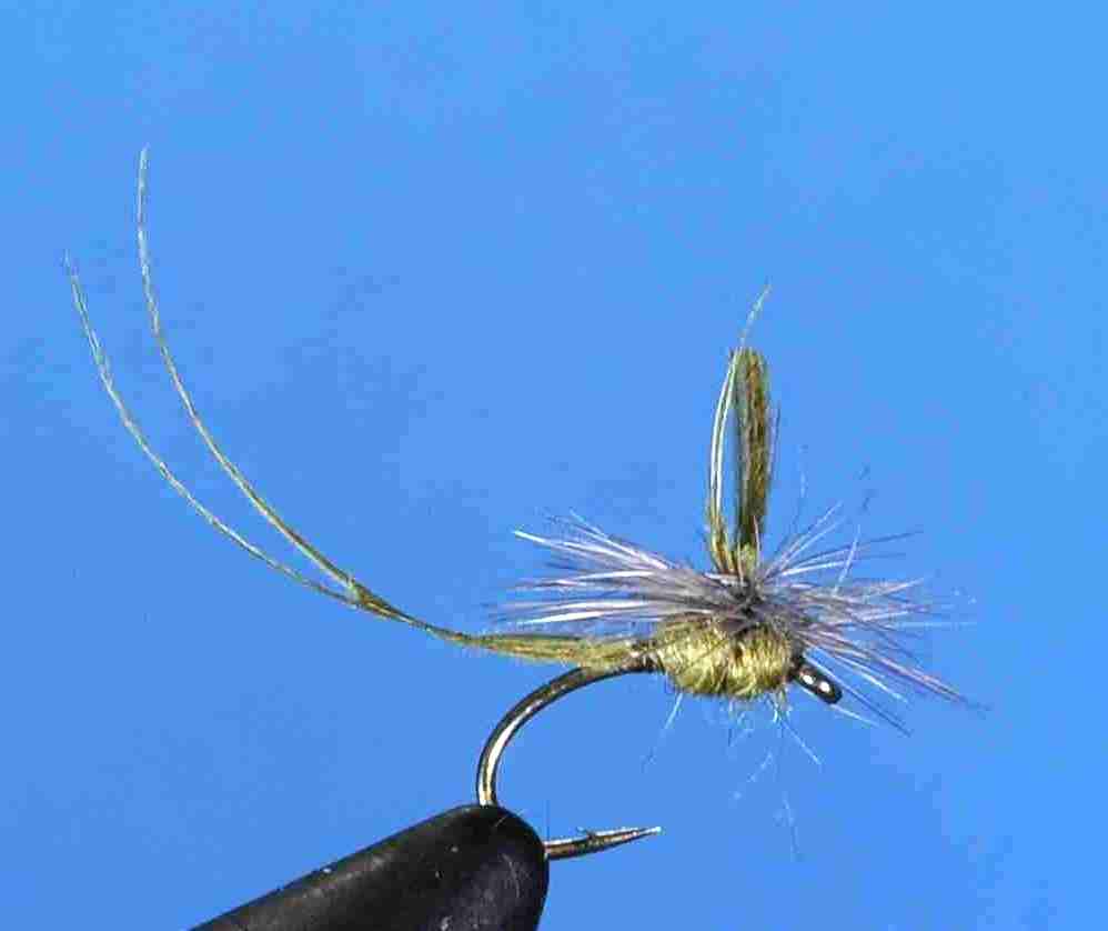 J21-05HMBW product image