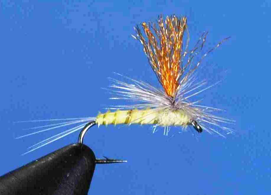 J21-05HPMD product image