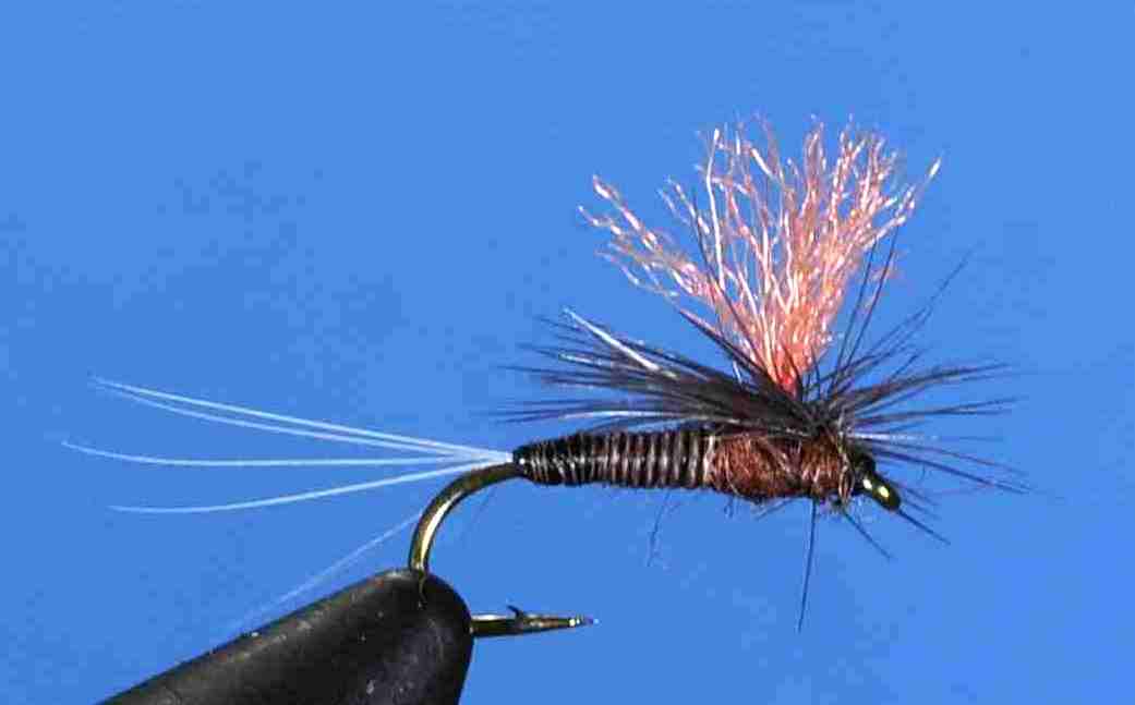 J21-05HQMH product image