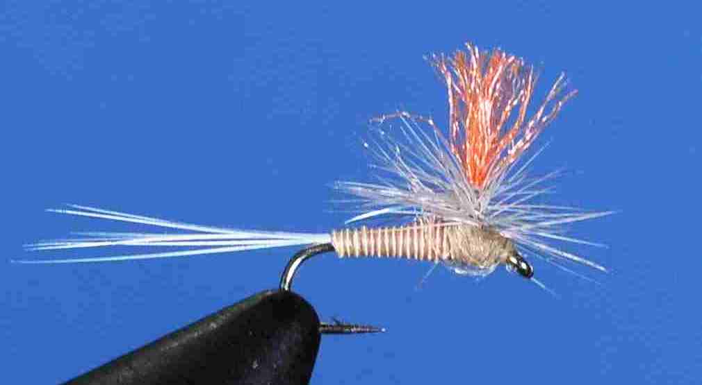 J21-05HQPM product image