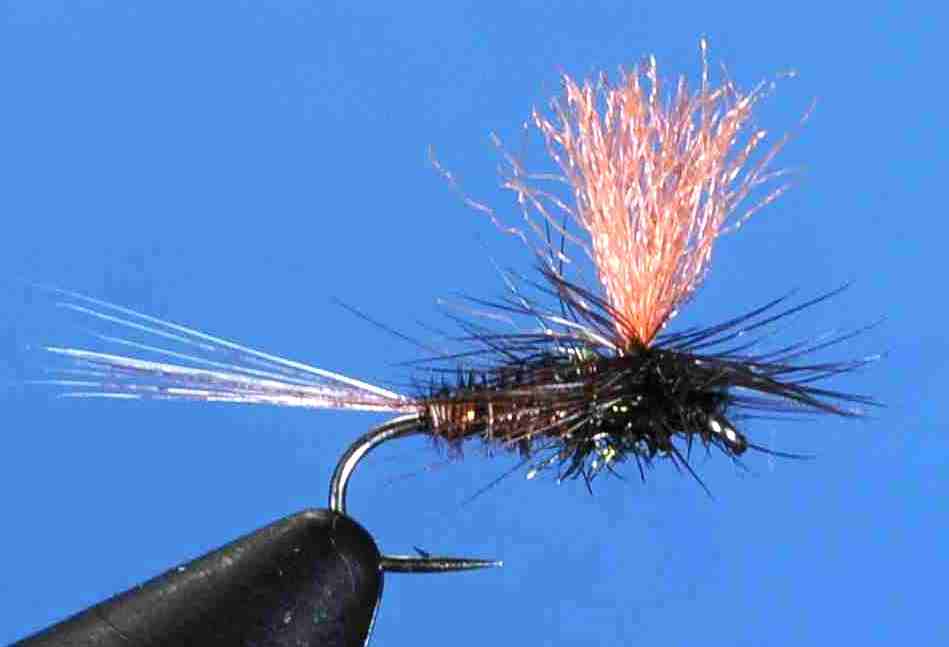 J21-05HQPT product image