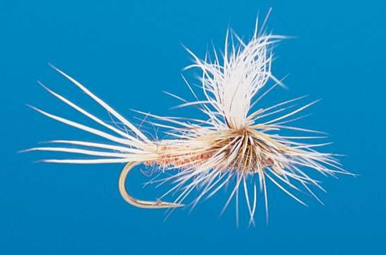 J21-05LTOR product image