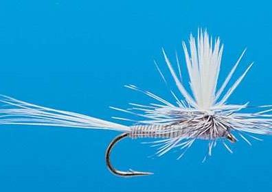 J21-05MSQM product image