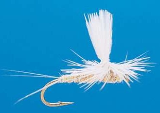 J21-05PMDN product image