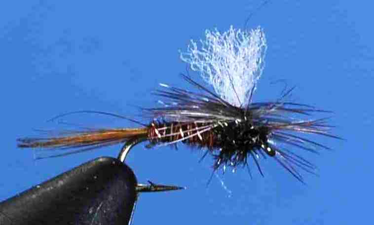 J21-05PTNT product image