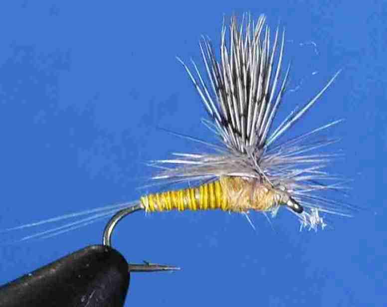 J21-05QSUD product image