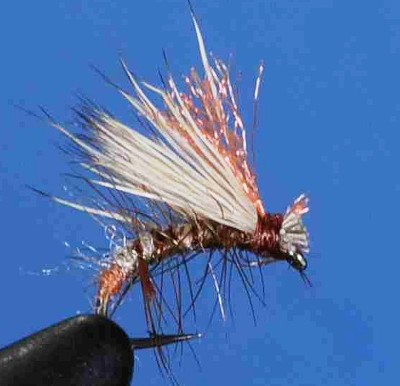 J21-06ECTN product image