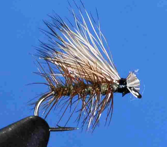 J21-06EHGY product image