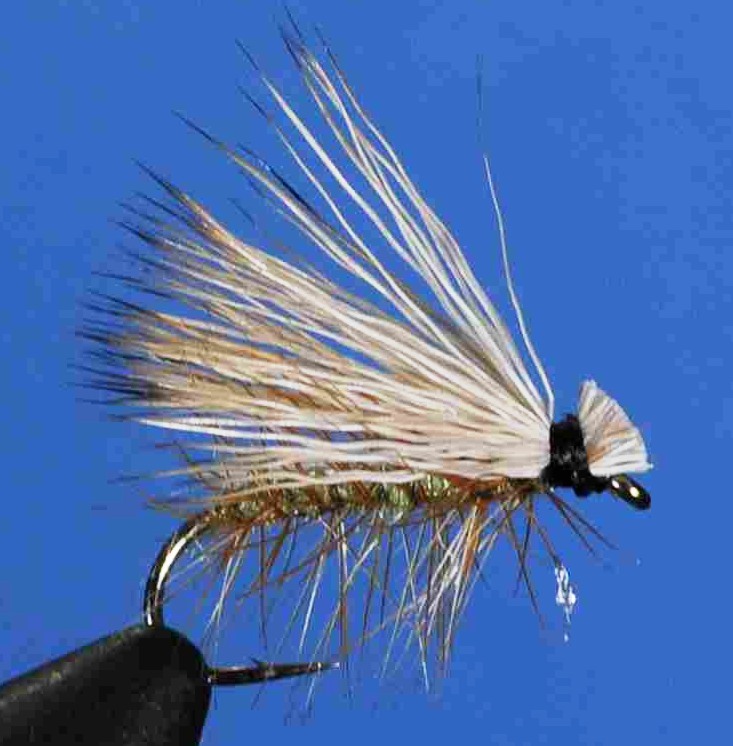 J21-06EHOL product image