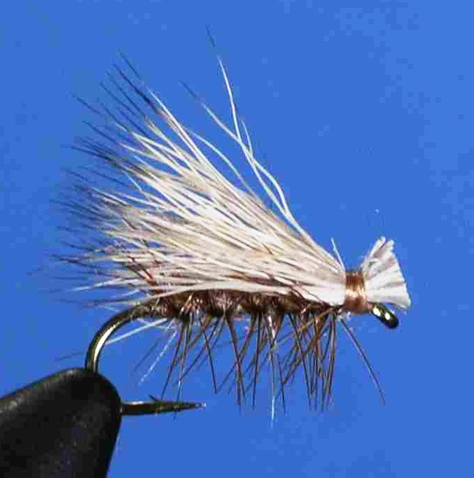 J21-06EHTN product image