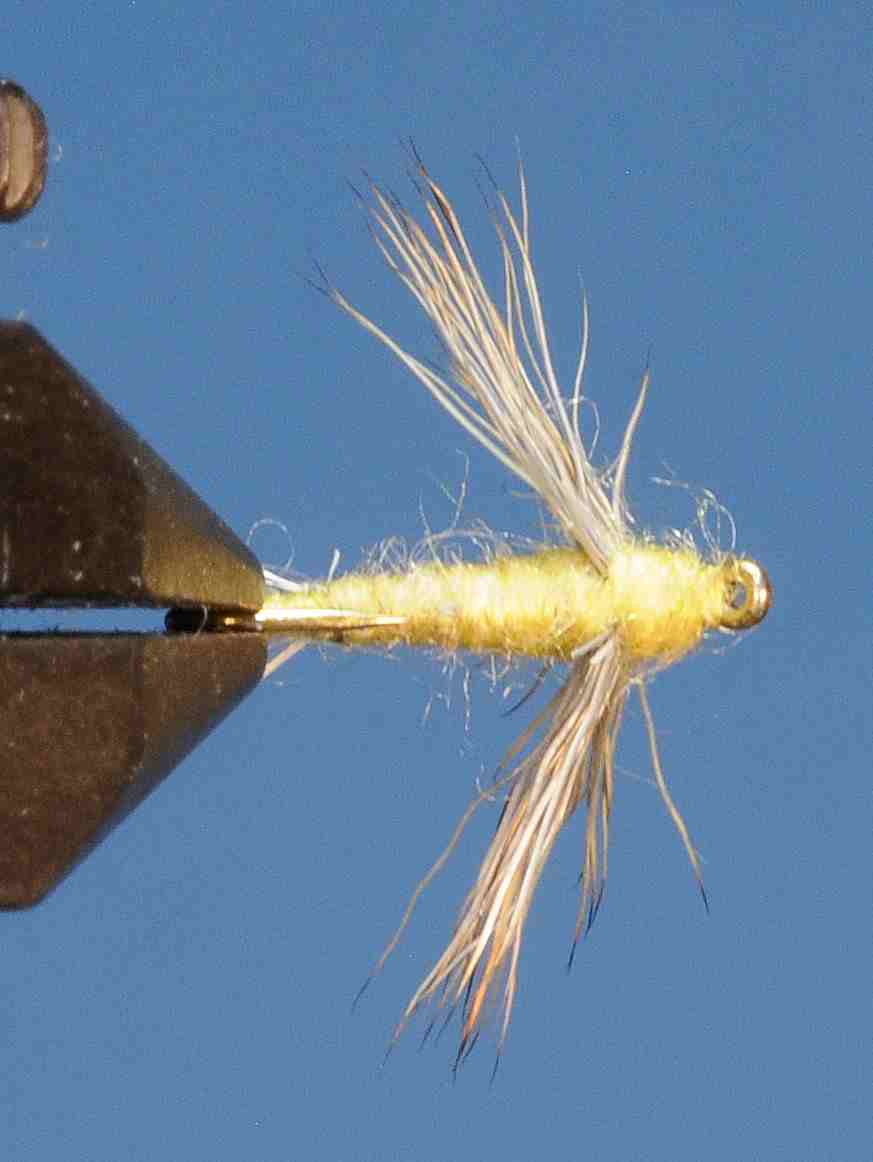 J21-08SLYD product image