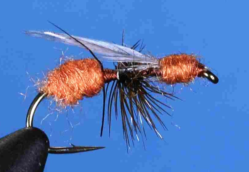 J21-09ARFL product image