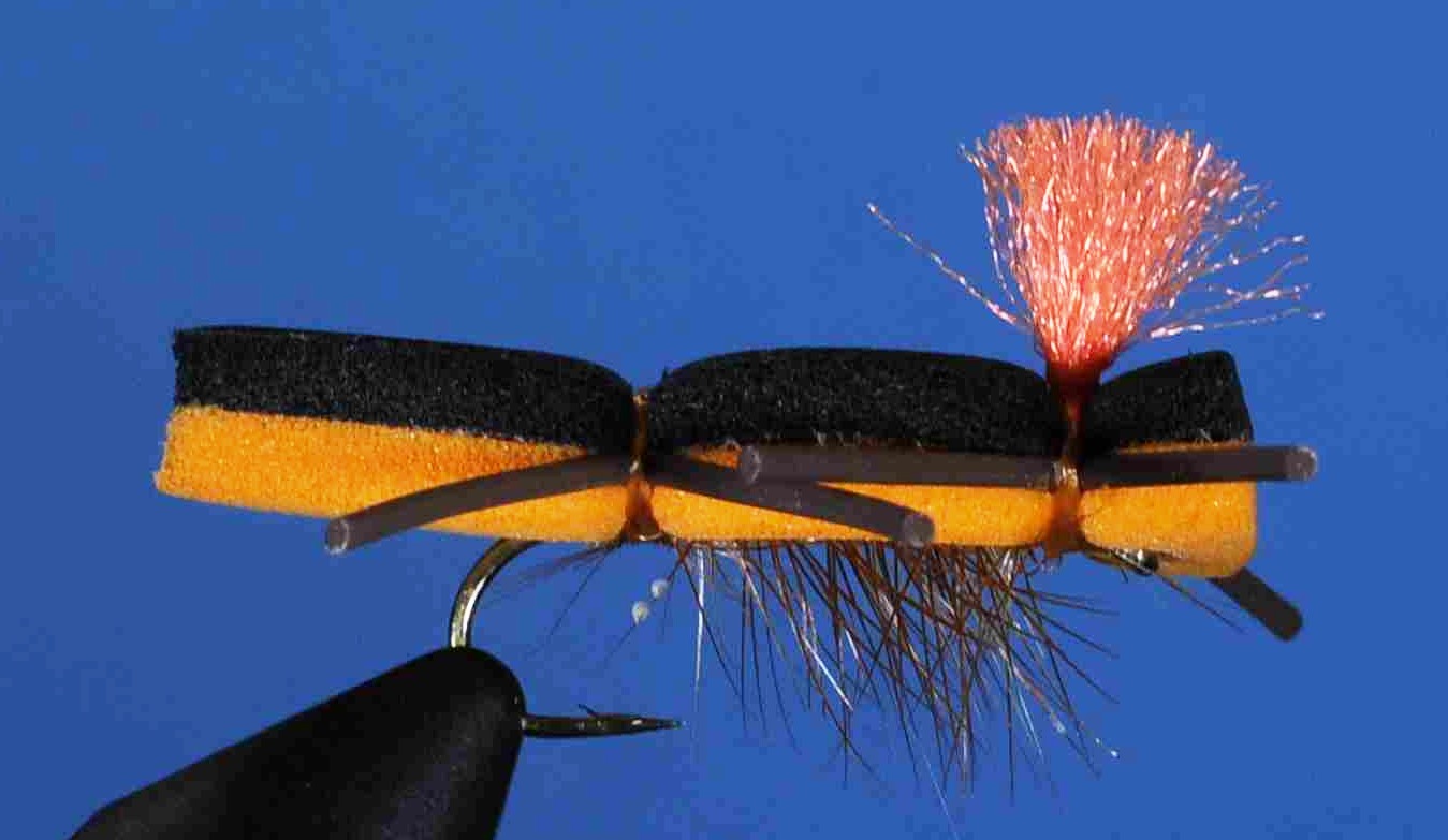 J21-09CAOR product image