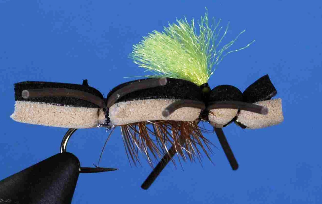 J21-09CATN product image