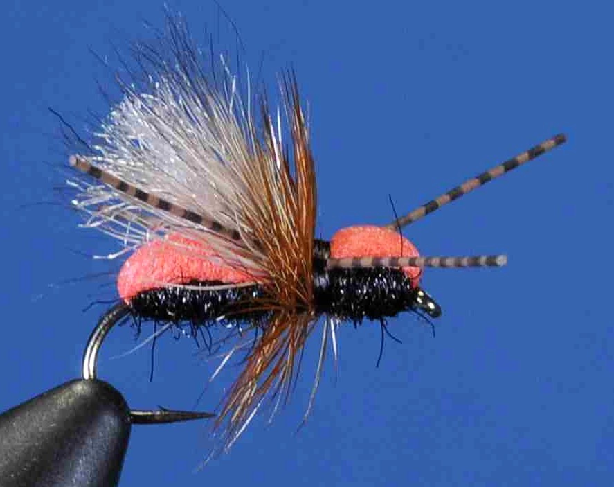 J21-09CFFR product image