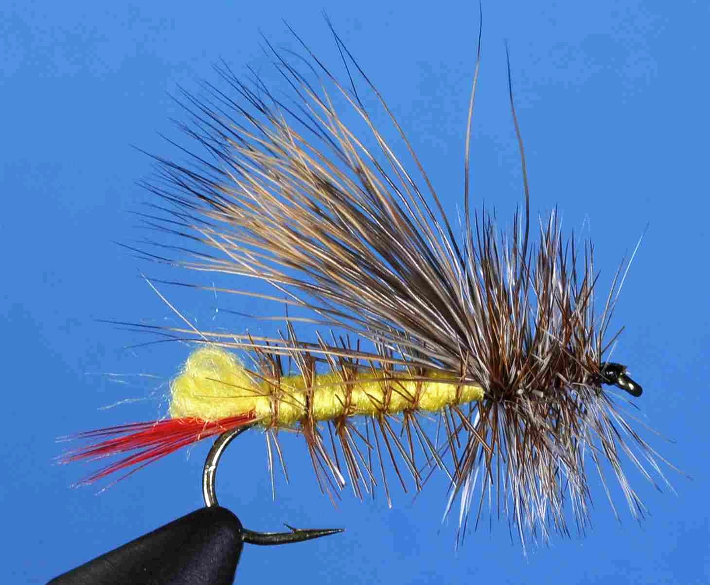 J21-09ELKH product image