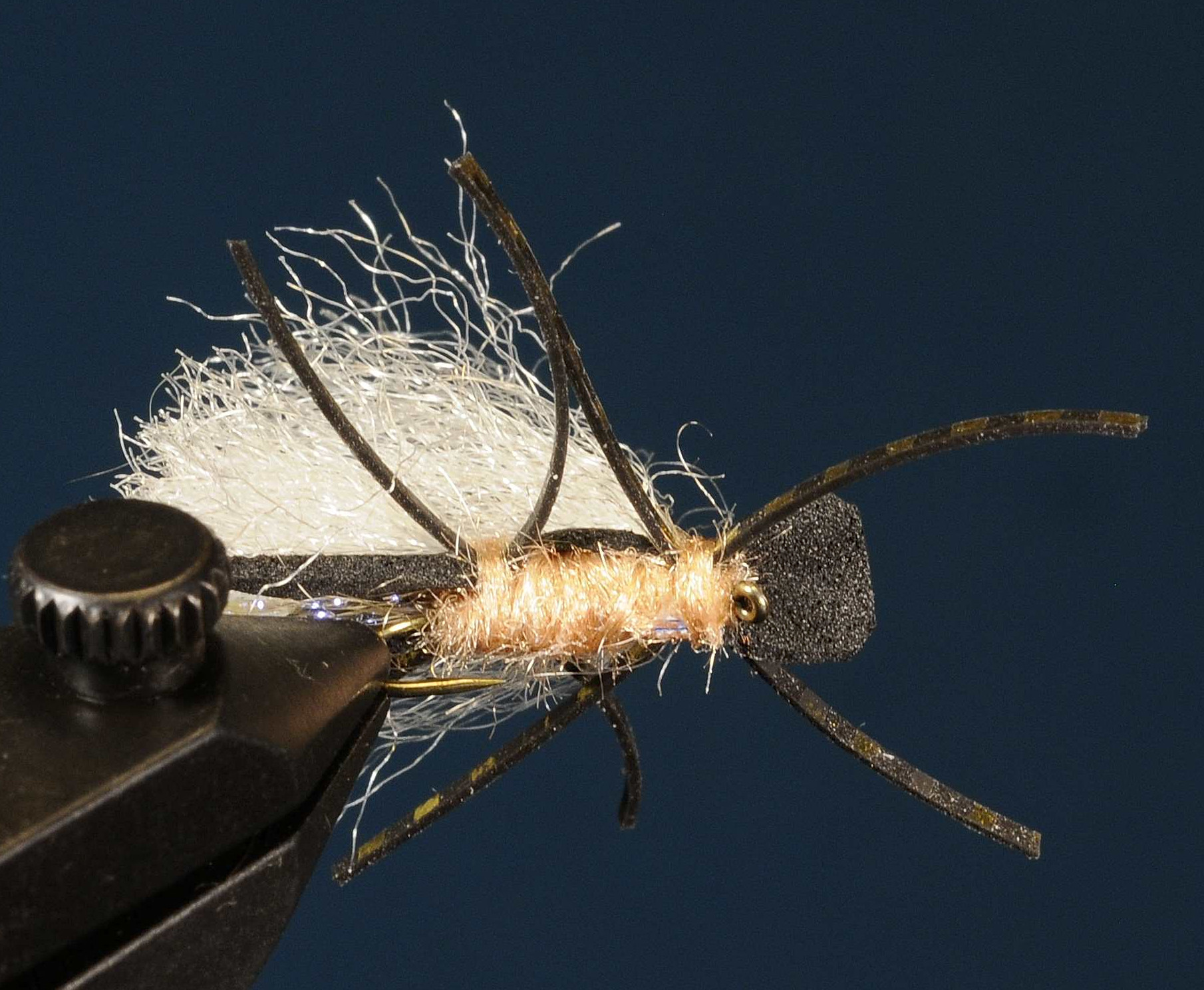 J21-09VBTN product image