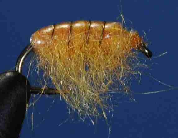 J21-14BHOR product image