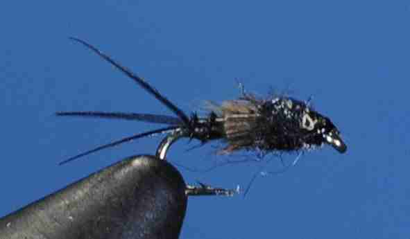 J21-14MNTR product image