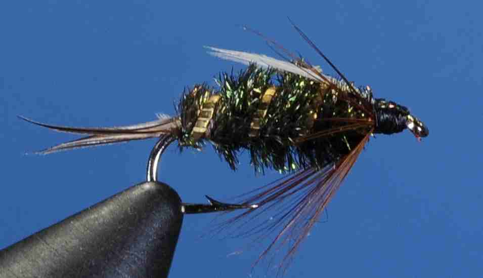 J21-14PRNC product image