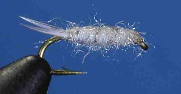 J21-14SWBG product image