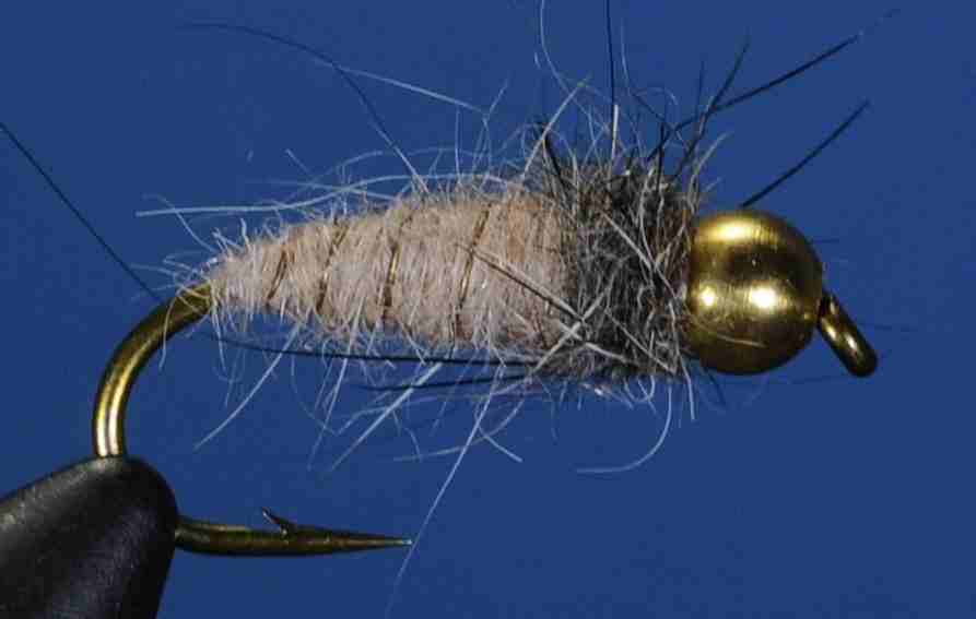 J21-16TSSQ product image