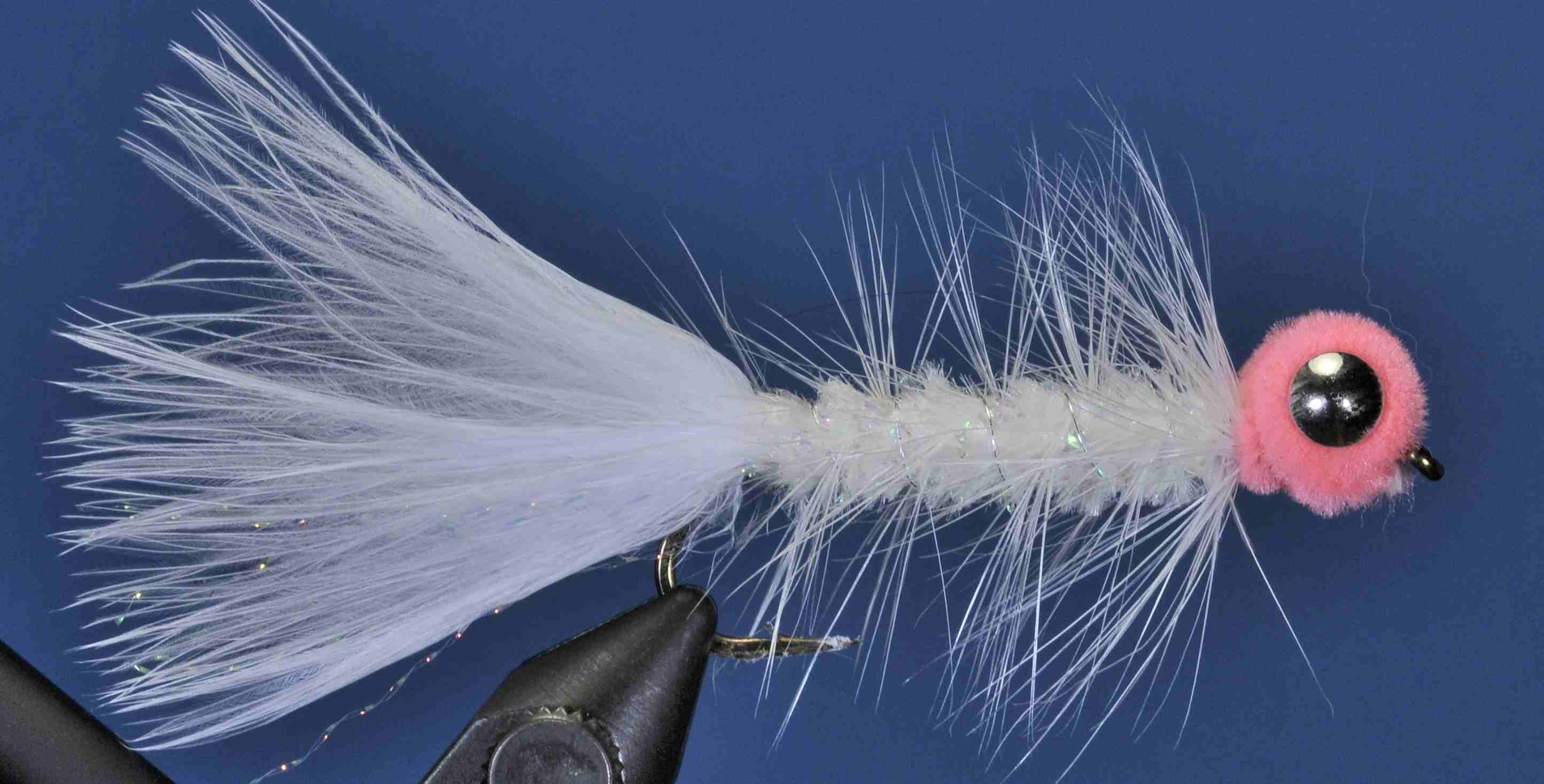 J21-17BBWP product image