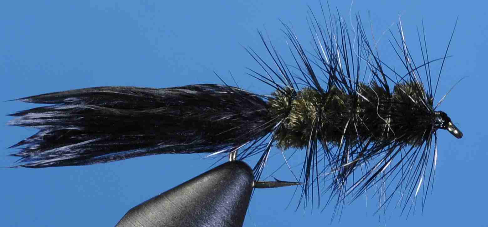 J21-17WBOB product image