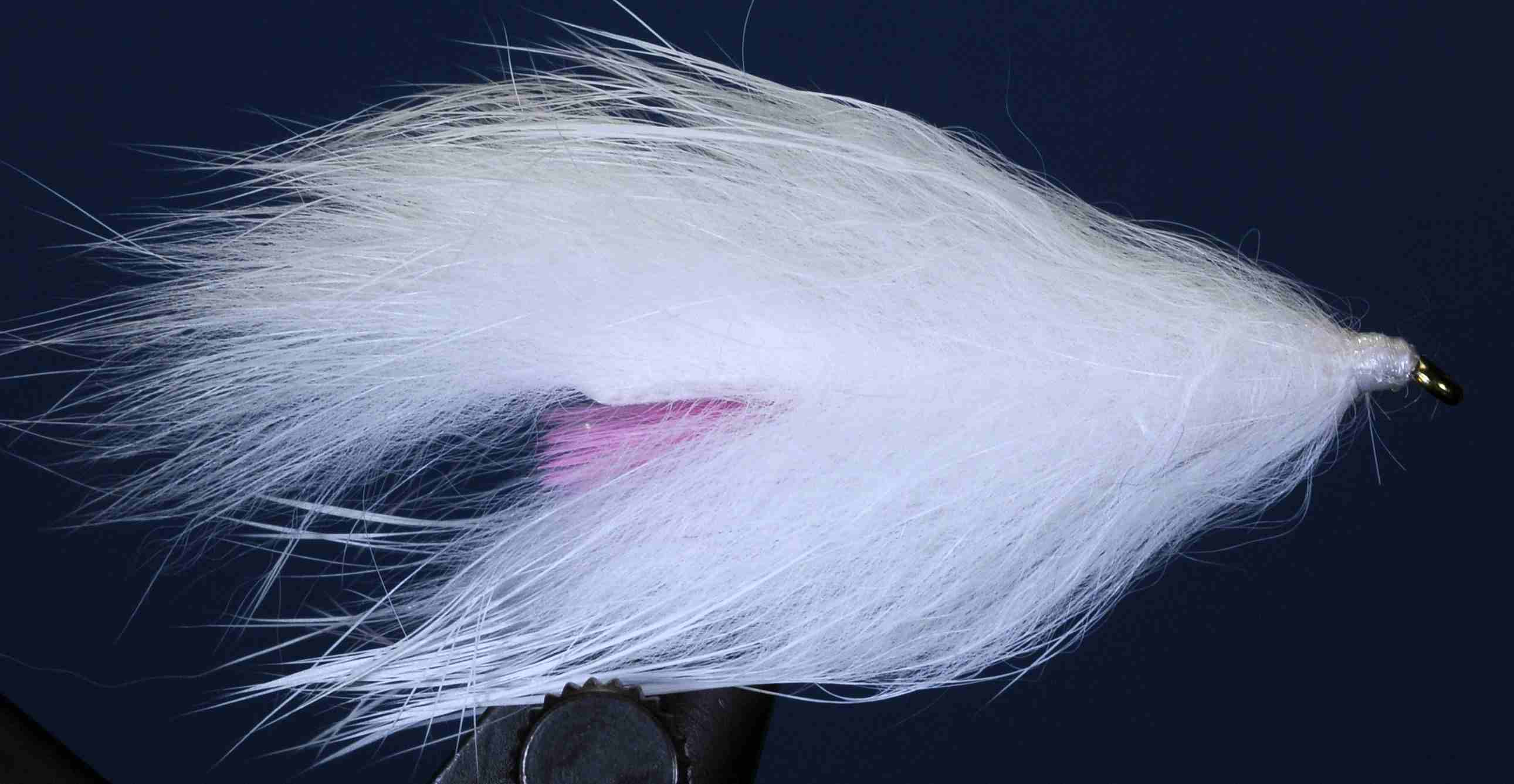 J21-19BLWP product image