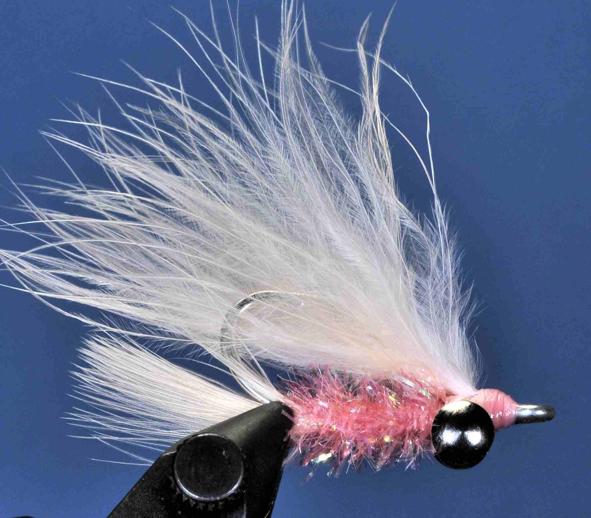 J21-19DSXF product image