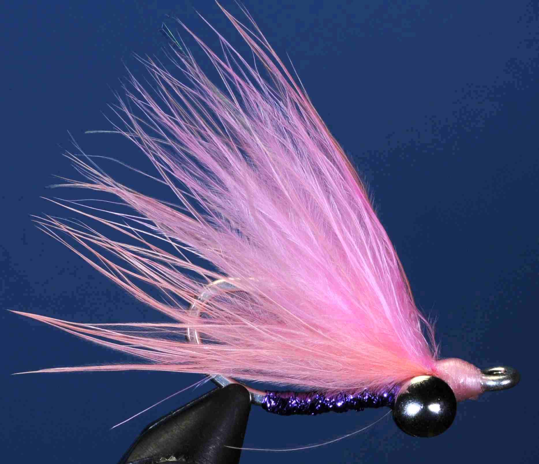 J21-19DSXH product image