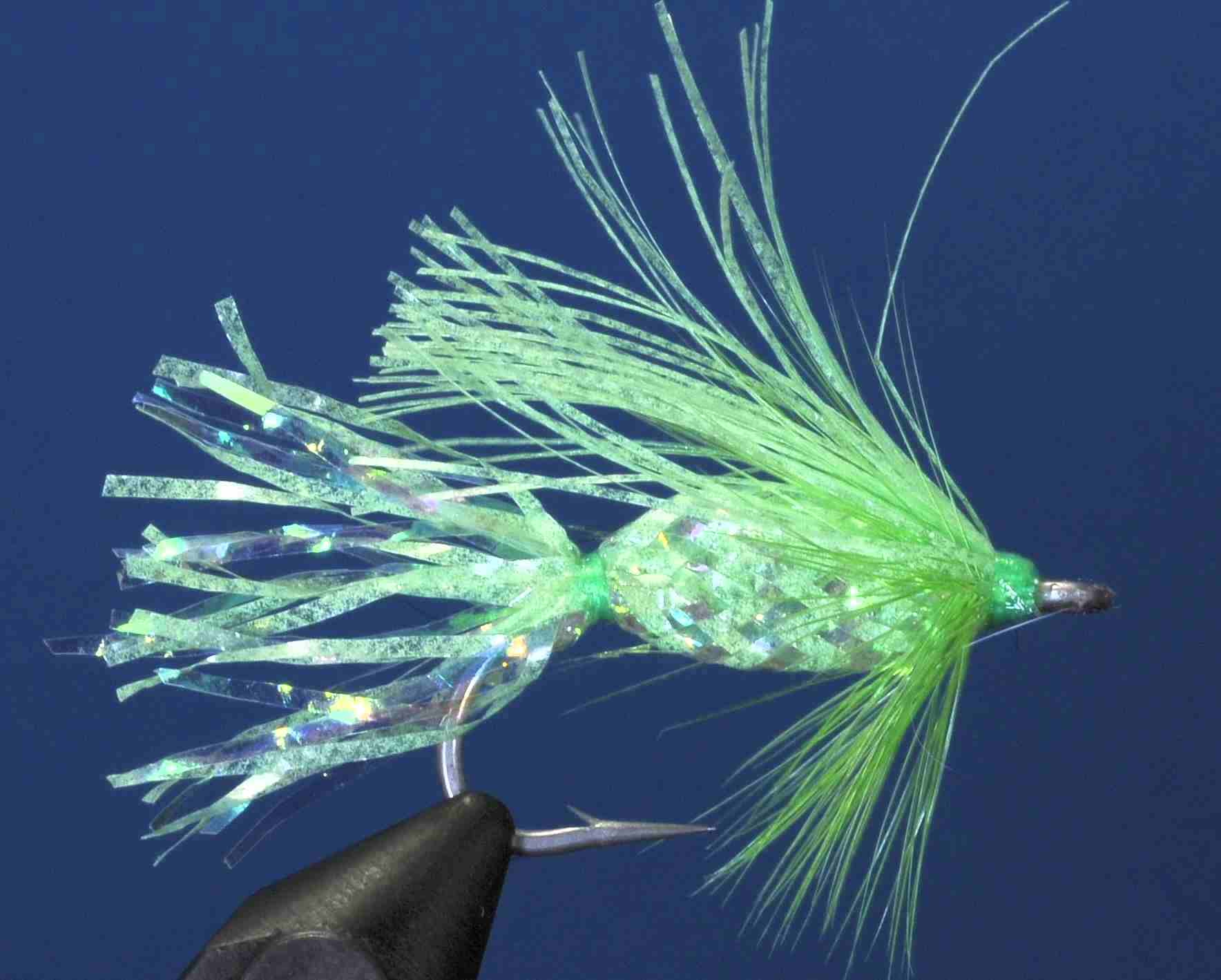 J21-19EGGN product image