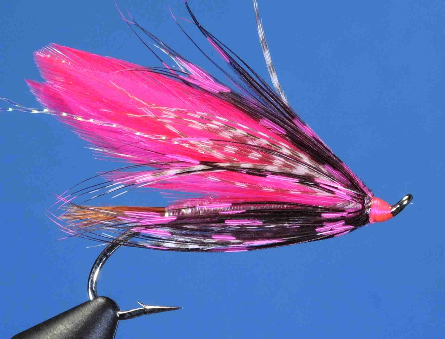 J21-19FWPK product image