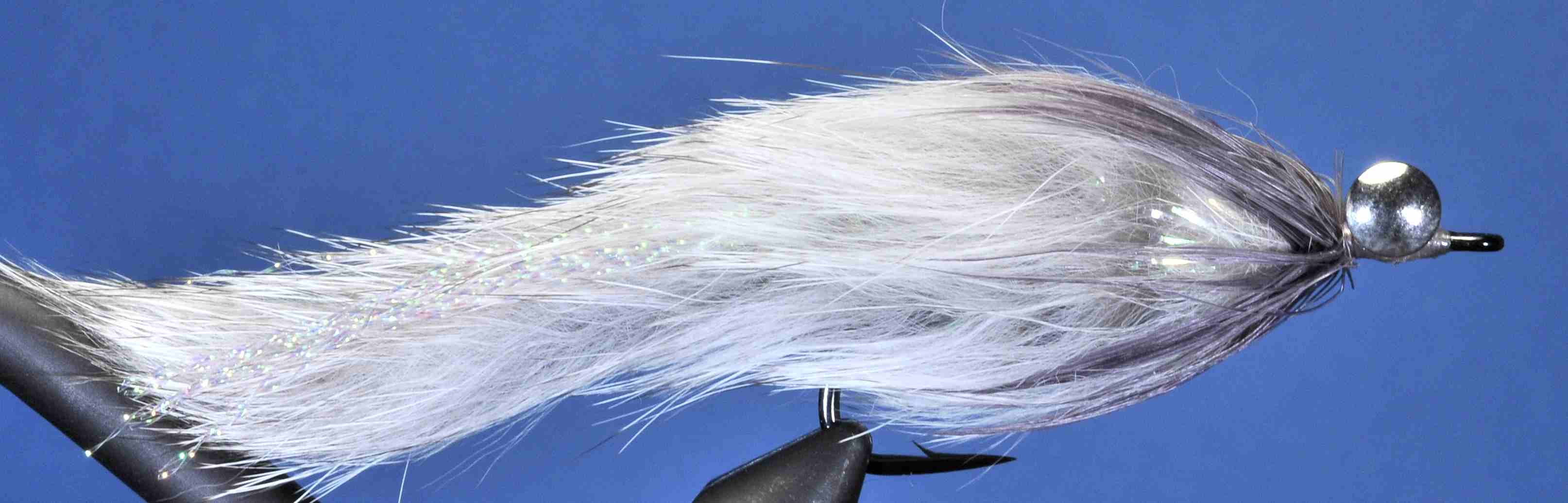 J21-19HBCG product image