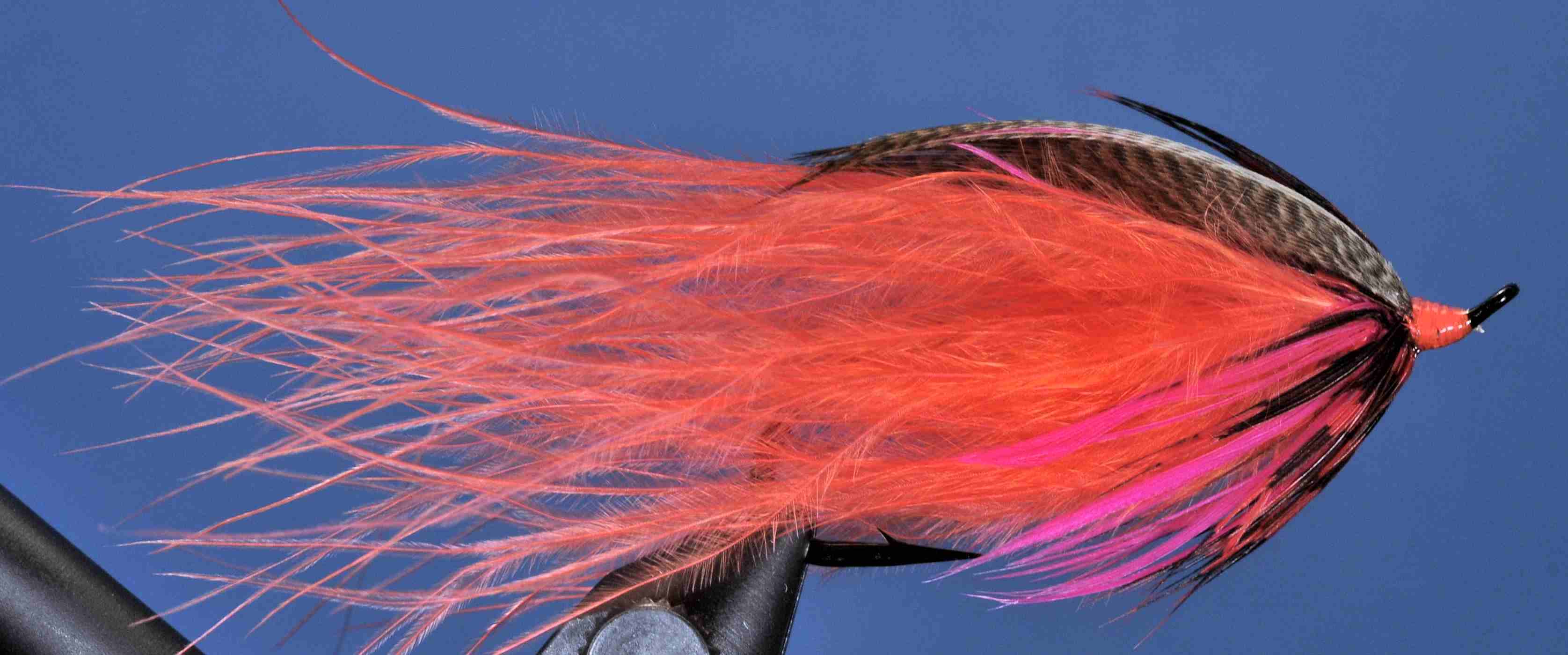 J21-19RNPE product image