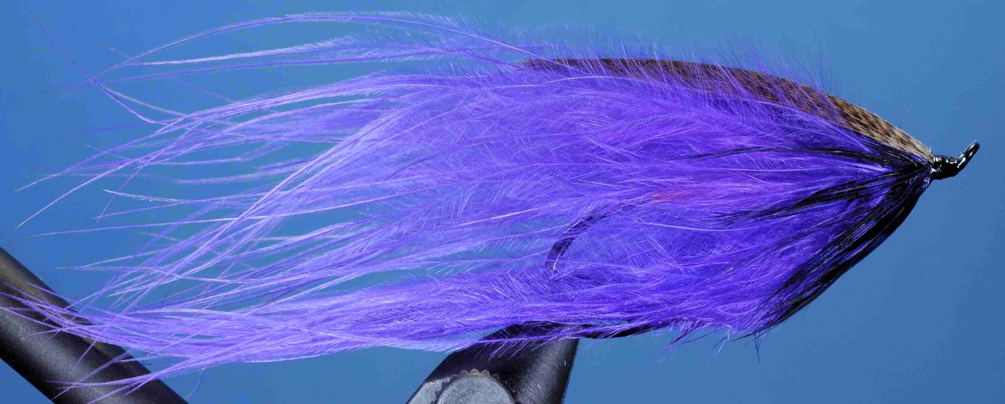 J21-19RNPR product image