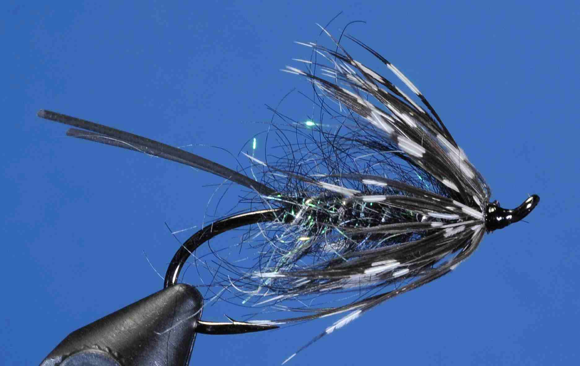 J21-19RTSB product image