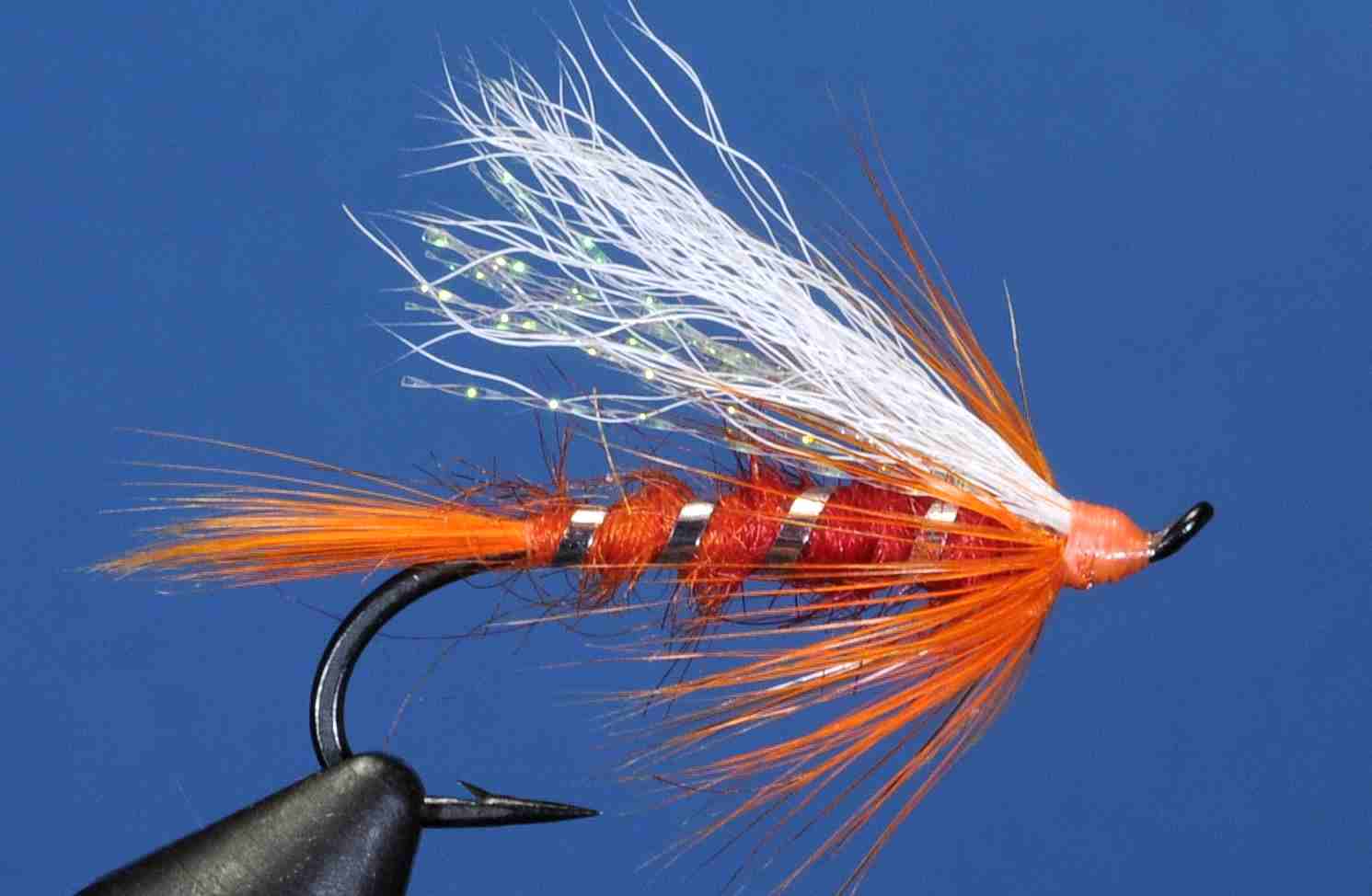 J21-19STBB product image