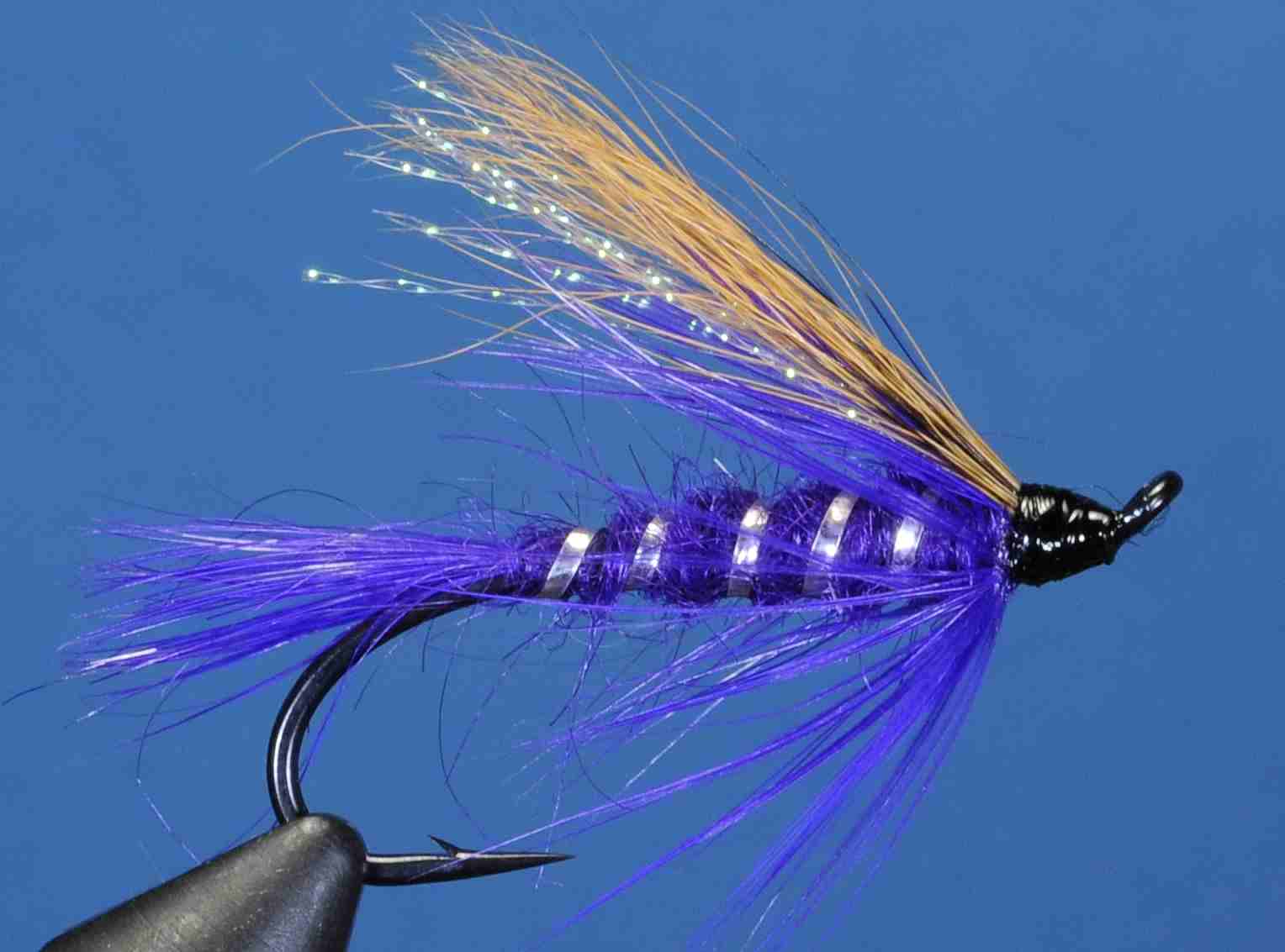 J21-19STPP product image