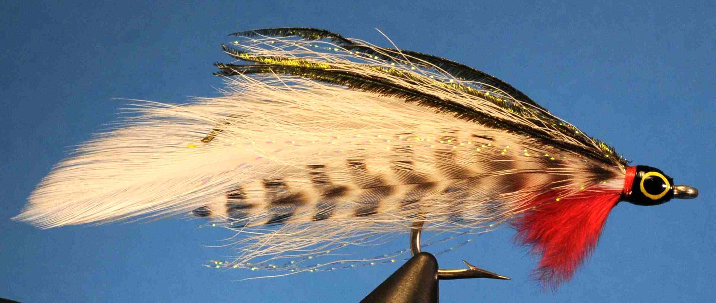 J21-512510 product image